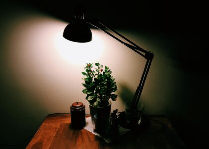 Drewniane lampy – połączenie natury z nowoczesnością
