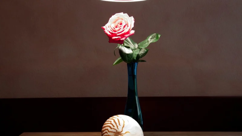 Drewniane lampy – połączenie natury z nowoczesnością